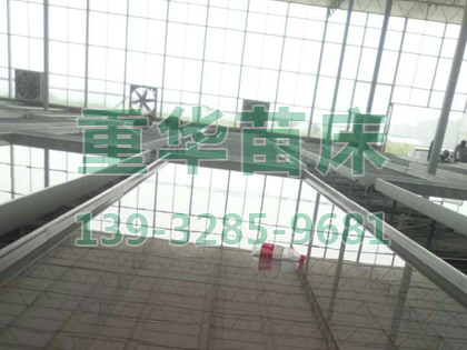 mmexport1479954599993.jpg